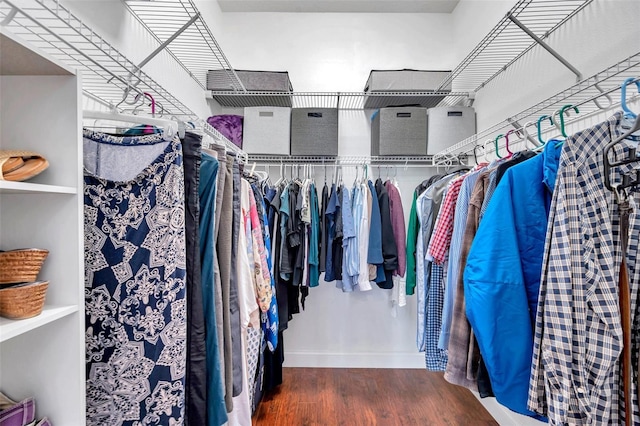 walk in closet with wood finished floors