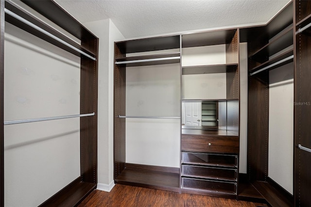 spacious closet with dark wood-type flooring