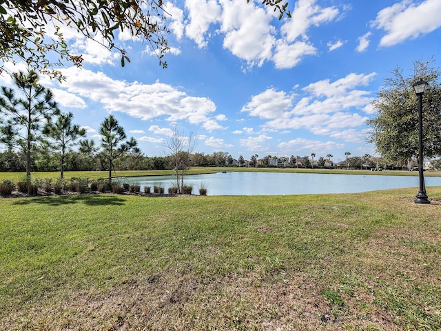 property view of water