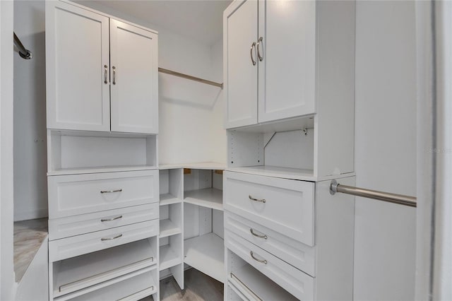 view of spacious closet