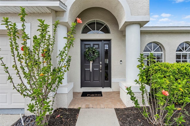 31123 Stone Arch Ave, Wesley Chapel, FL 33545 - doorway to property featuring stucco siding