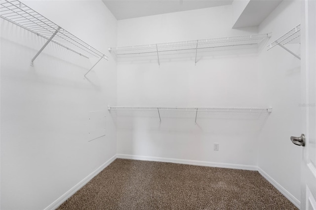 walk in closet with carpet floors