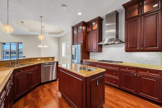 kitchen featuring wall chimney exhaust hood, a tray ceiling, stainless steel appliances, and a sink