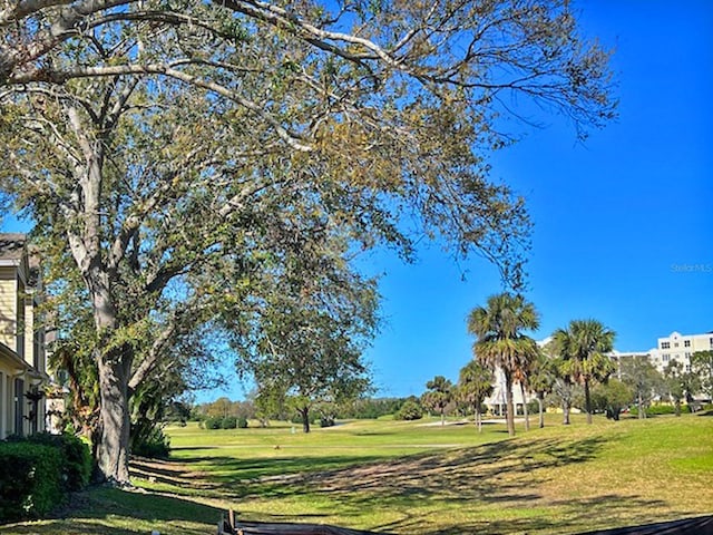 view of community featuring a yard