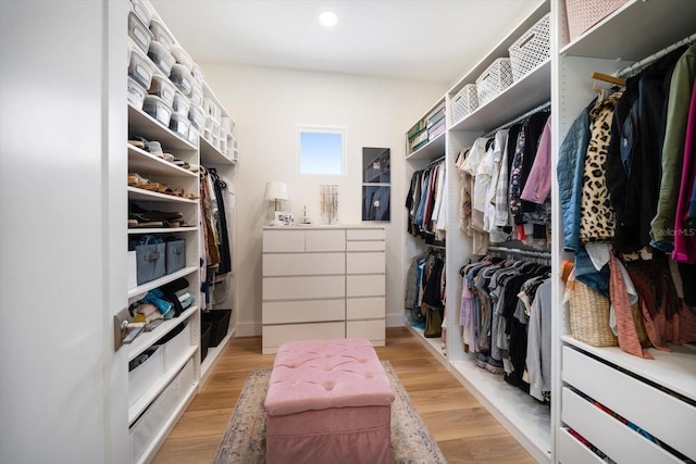 spacious closet with light wood-style flooring