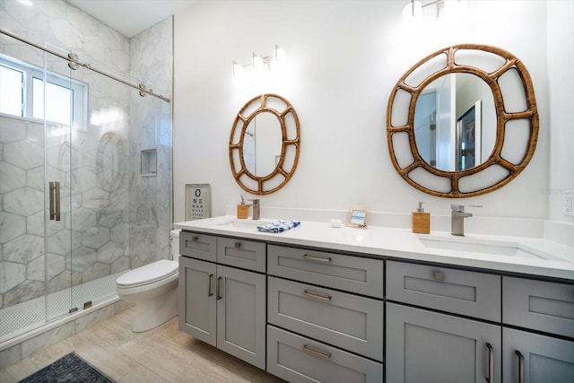 full bathroom with toilet, a stall shower, double vanity, and a sink