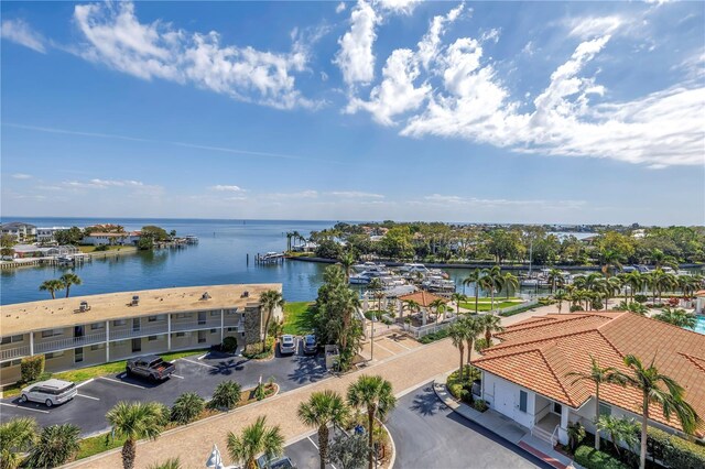 bird's eye view with a water view