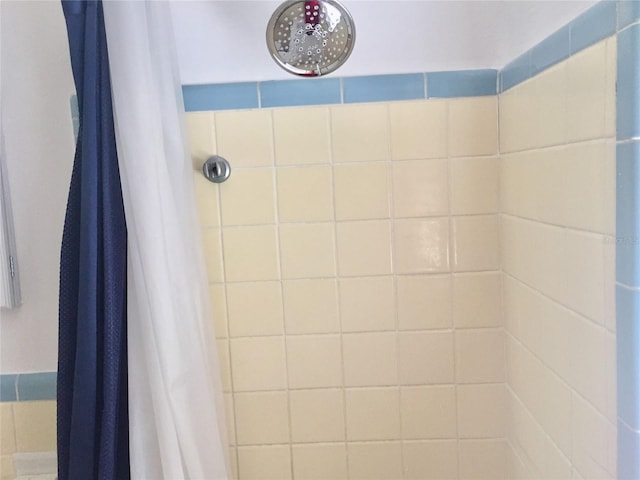 full bath featuring tiled shower