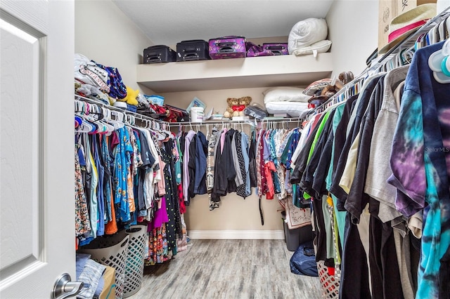 spacious closet featuring wood finished floors