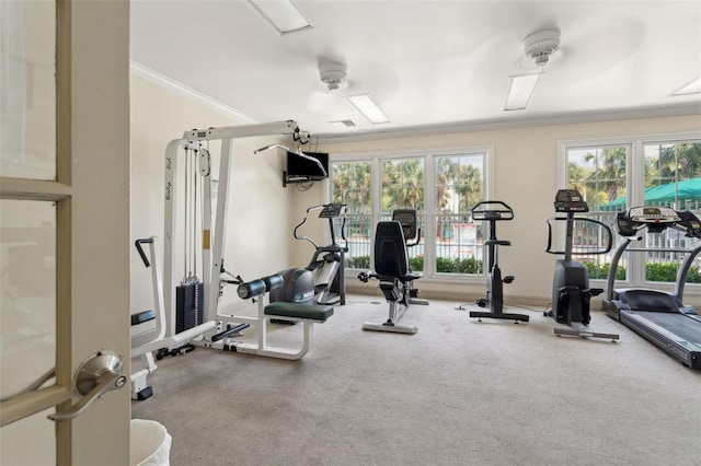 gym with carpet flooring, baseboards, and ornamental molding