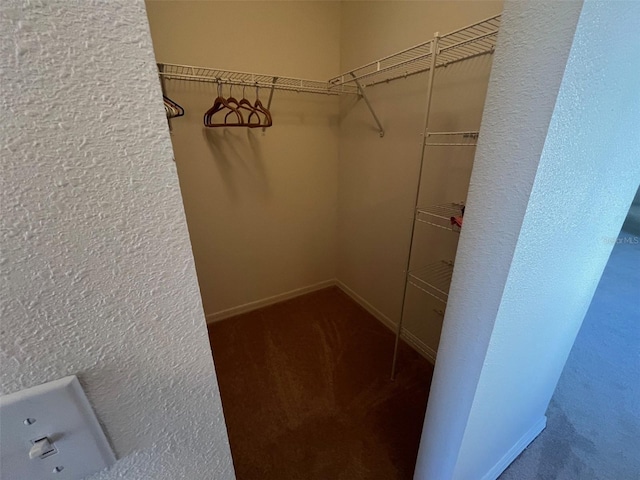 walk in closet with carpet floors