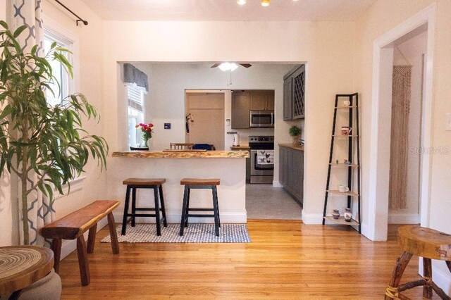 kitchen with stainless steel appliances, a peninsula, a breakfast bar, a ceiling fan, and light wood finished floors