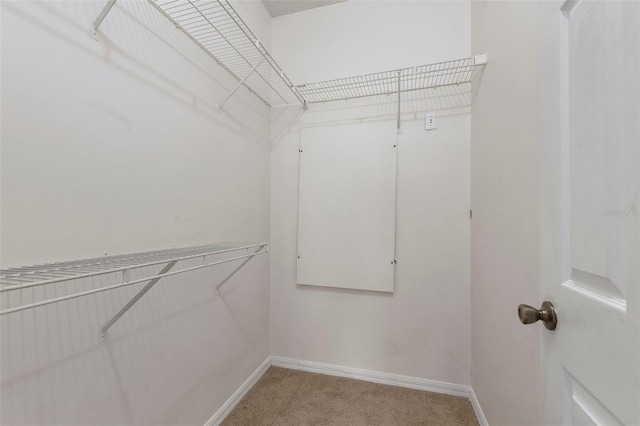 spacious closet featuring light colored carpet