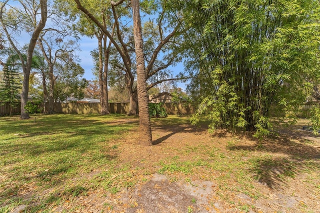 view of yard with a fenced backyard