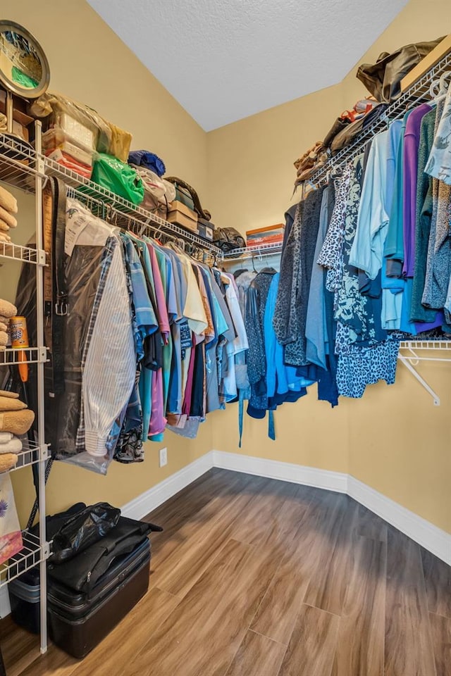 spacious closet featuring wood finished floors