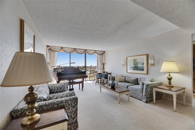 carpeted living room with a textured ceiling and a textured wall