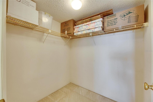 spacious closet with carpet flooring