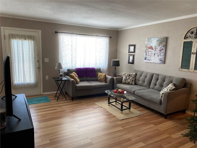 living room with light wood-type flooring, plenty of natural light, ornamental molding, and a textured ceiling