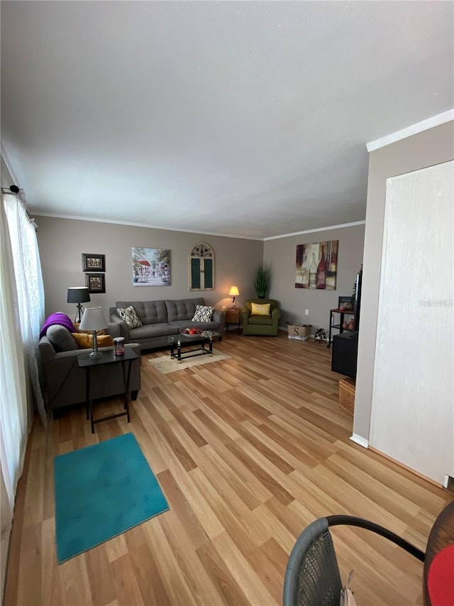 living room featuring ornamental molding and light wood-style floors