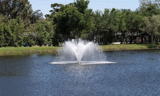 view of water feature