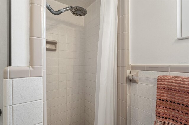 209 17th Ave N, Saint Petersburg, FL 33704 - photo 35