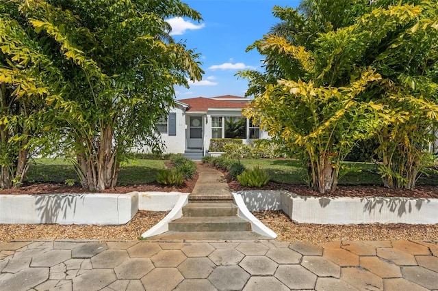 209 17th Ave N, Saint Petersburg, FL 33704 - photo 47