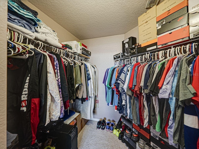spacious closet with carpet