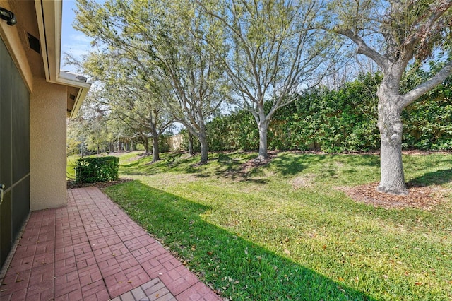 view of yard featuring a patio