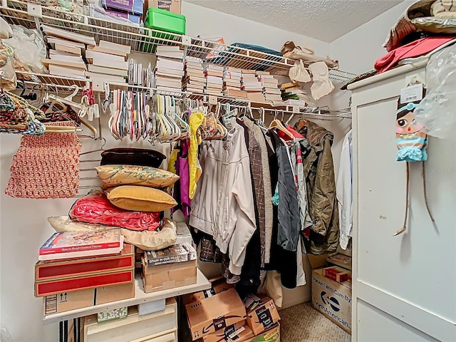 spacious closet with carpet