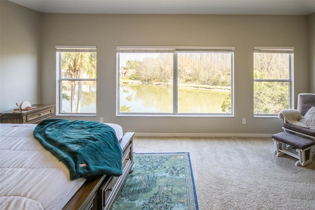 bedroom with baseboards and carpet flooring