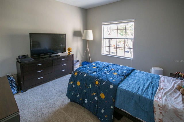 bedroom with carpet