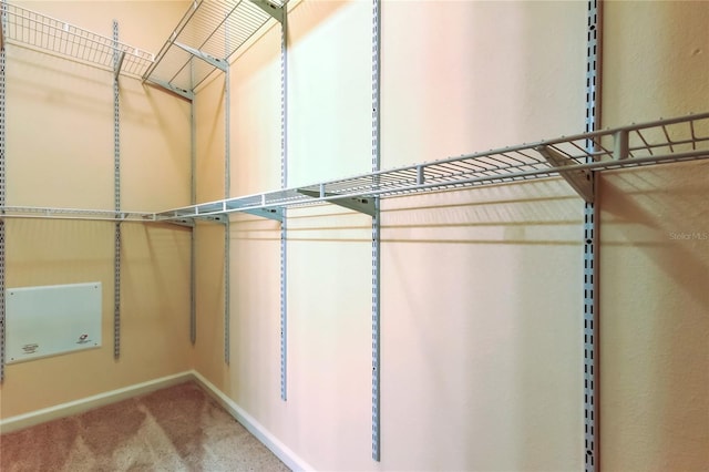 walk in closet with carpet flooring