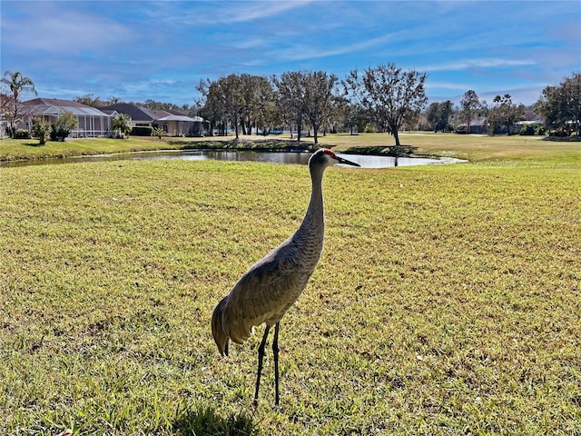 view of home's community featuring a water view and a lawn