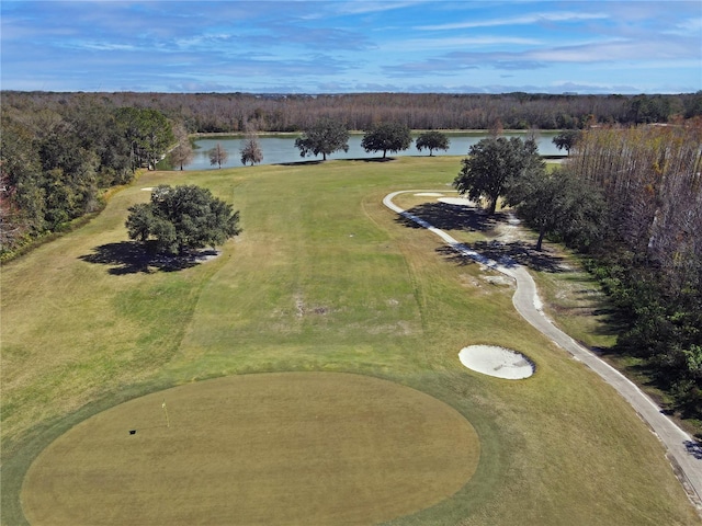 aerial view featuring a water view and a forest view