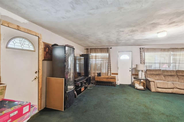 carpeted living area with plenty of natural light