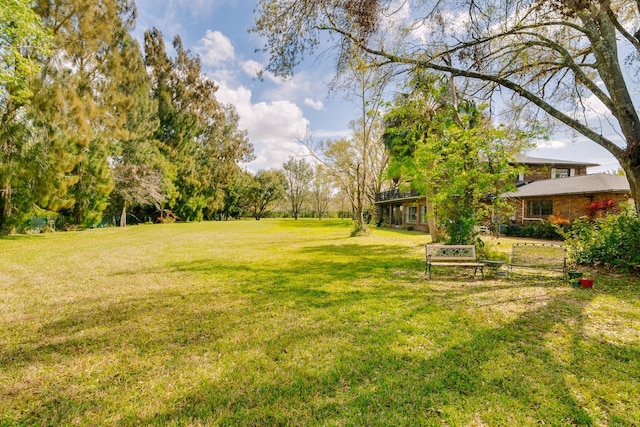 view of yard