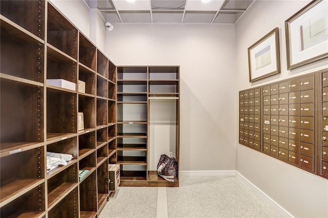 walk in closet with mail area, carpet flooring, and a paneled ceiling