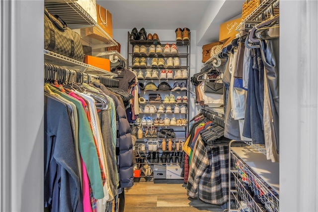 walk in closet featuring wood finished floors