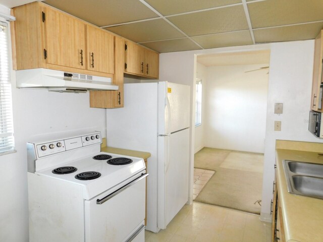 kitchen featuring white electric stove, light countertops, a sink, a drop ceiling, and under cabinet range hood