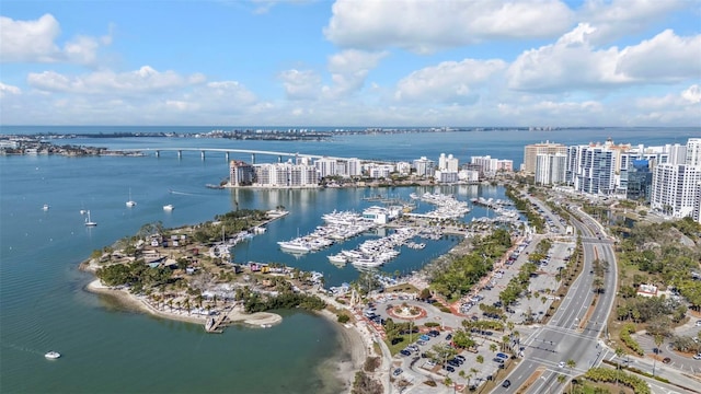 bird's eye view with a water view and a view of city