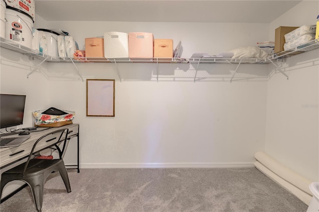 spacious closet featuring carpet flooring