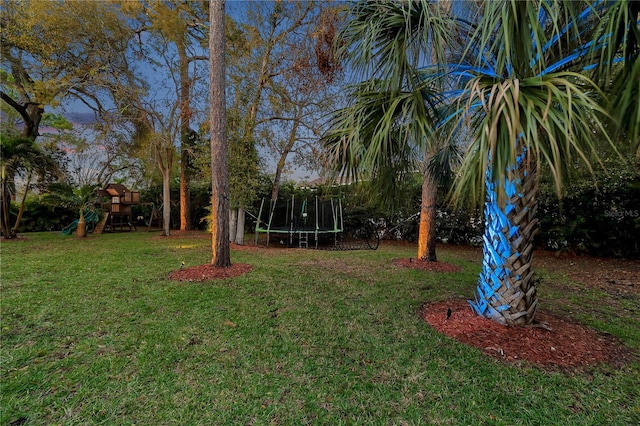 view of yard with a trampoline and a playground