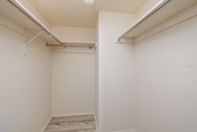 walk in closet with light wood finished floors