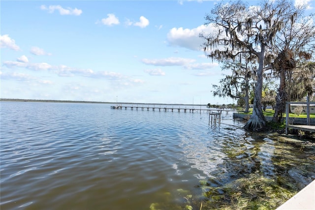 dock area with a water view