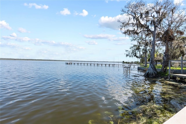 830 Crk 457, Lake Panasoffkee, FL 33538 - photo 32