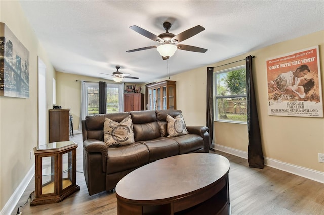 22002 Darley Pl, Land O Lakes, FL 34639 - photo 21