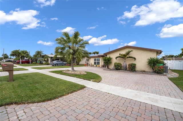 view of front of house featuring a front yard, curved driveway, fence, and stucco siding