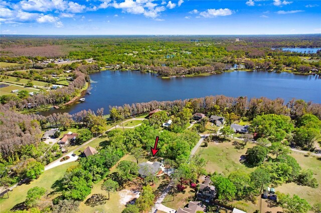 19531 Deer Lake Rd, Lutz, FL 33548 - bird's eye view of a forest and a large body of water