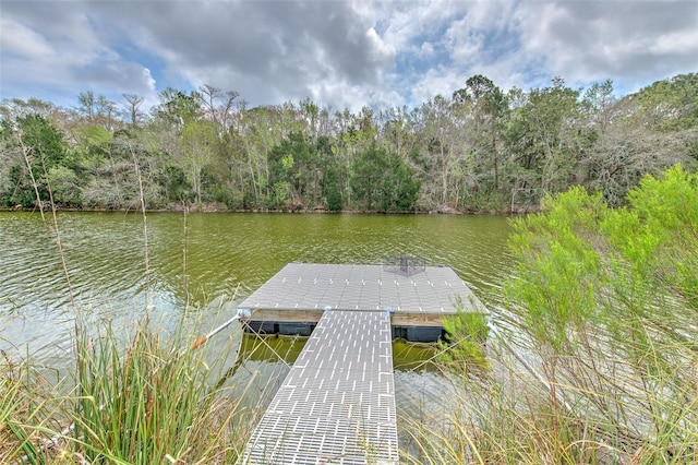 view of dock featuring a water view and a view of trees