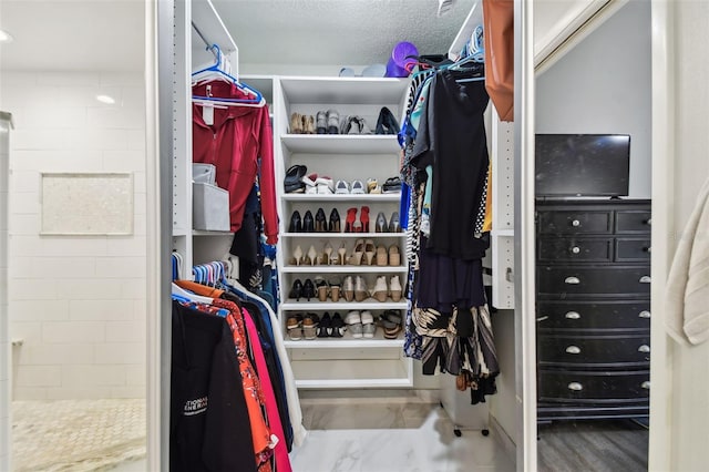 view of walk in closet